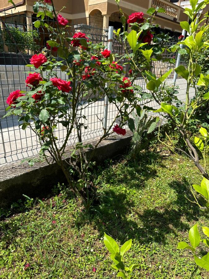 Holiday Home Vesna Budva Luaran gambar